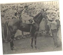 Omaha at Dwyer Stakes